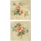 Provence Rose by Cheri Blum 14" x 14" Canvas Wall Art (Set of 2)